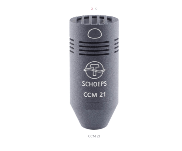 CCM21